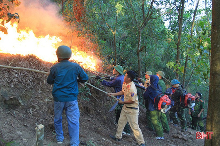 North-central Vietnam’s forests engulfed in five wildfires in one day