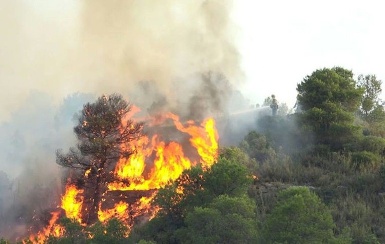 Wildfires ravage north-central Vietnam amidst scorching weather