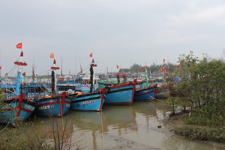 Father, son drown after getting tangled in fishing nets off northern Vietnam
