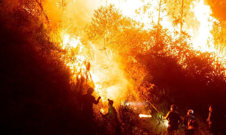 Wildfire erupts in Vietnam’s Ha Tinh Province as locals burn tree branches