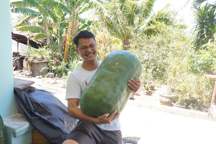 In Vietnam, farmers grow giant winter melons despite little profit