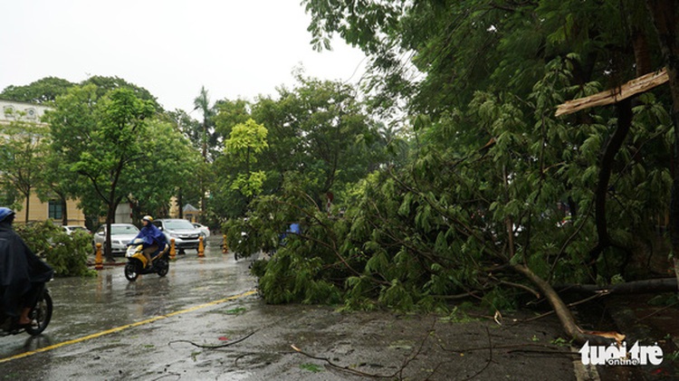 Typhoon Wypha weakens to tropical depression after landfall in northern Vietnam