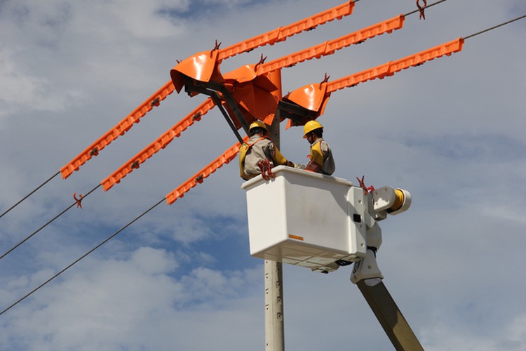 Vietnam mulls importing U.S. coal for power generation