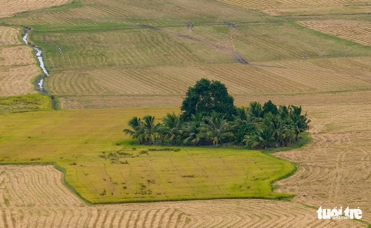Vietnam’s Mekong Delta rice paddies viewed from atop region’s highest mountain