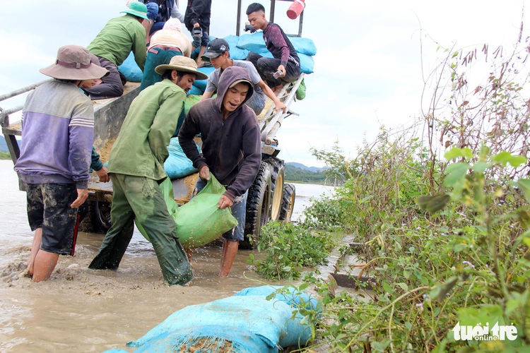 Hundreds rush to save 1,000ha of rice paddies following downpours in Vietnam’s Central Highlands