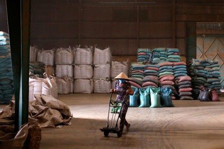 How Brazil and Vietnam are tightening their grip on the world's coffee