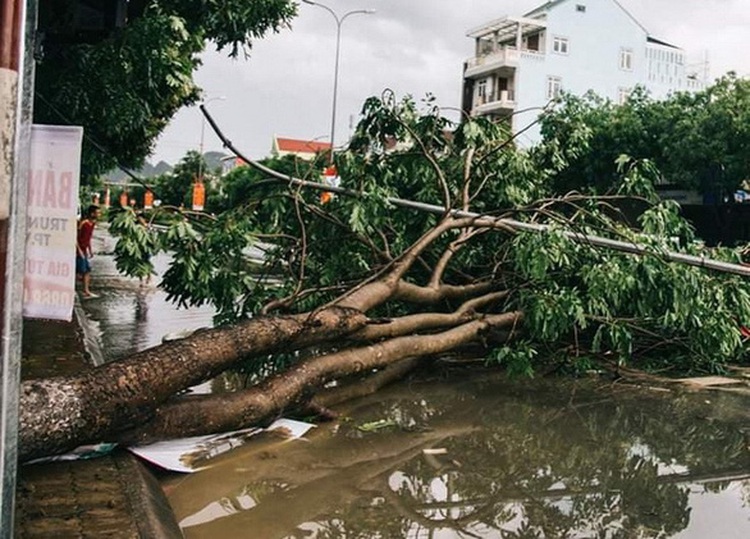 Tropical Storm Podul weakens after making landfall in north-central Vietnam