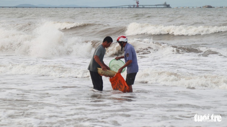 In Vietnam, hundreds flock to beach to collect shellfish washed ashore by storm