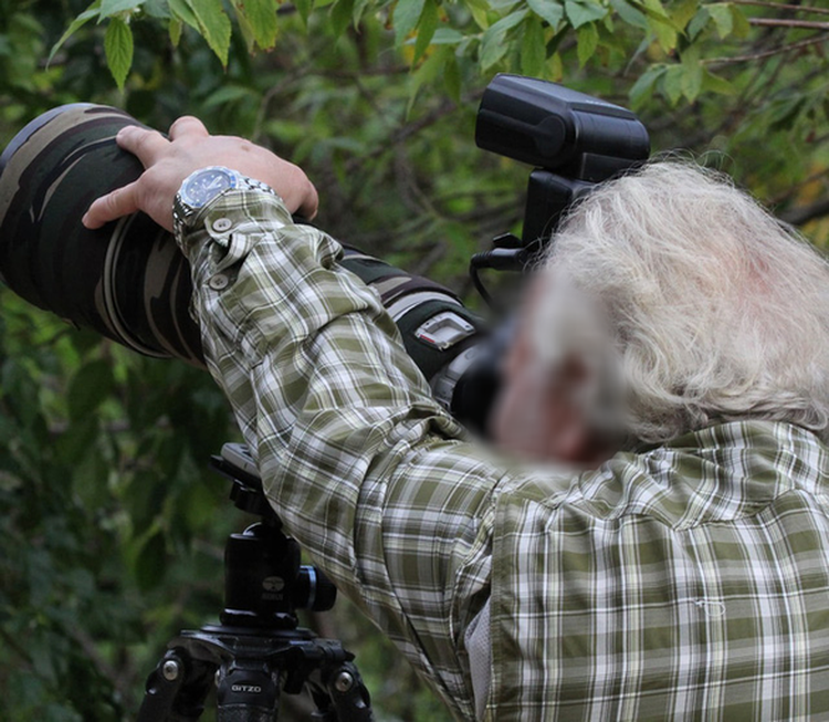 Italian tourists asked to leave Son Tra for snapping endangered langurs with powerful flashguns