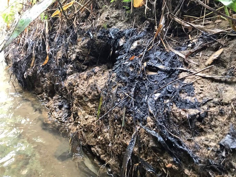 Illegal oil dump likely behind smelly tap water in Hanoi