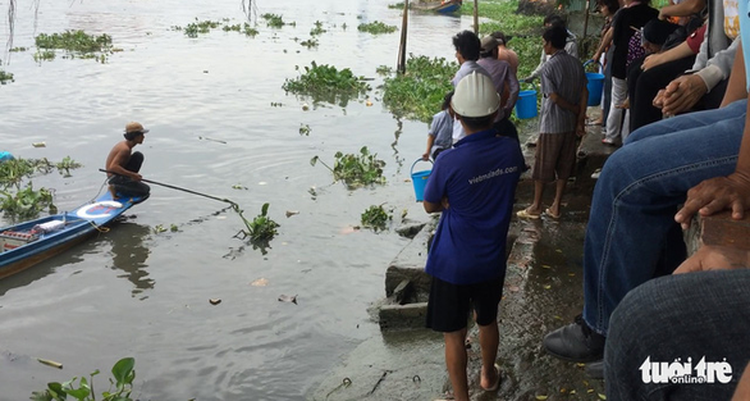 Catch, release, and catch again: Buddhist ritual of mercy turns ugly in Vietnam