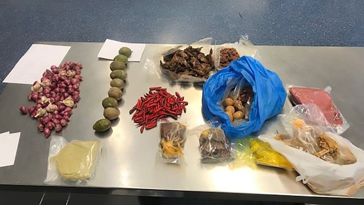Two Vietnamese had Australian visas canceled for undeclared pork