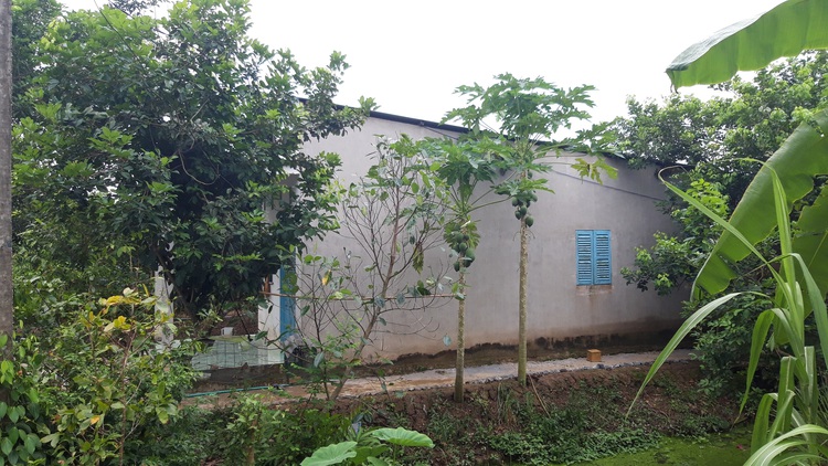 13-yo girl accuses father of raping her in Vietnam’s Mekong Delta