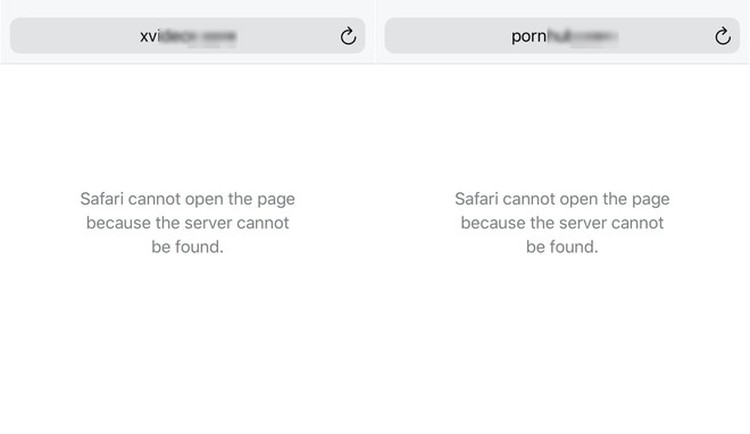 Vietnam Internet service providers allegedly block access to porn sites