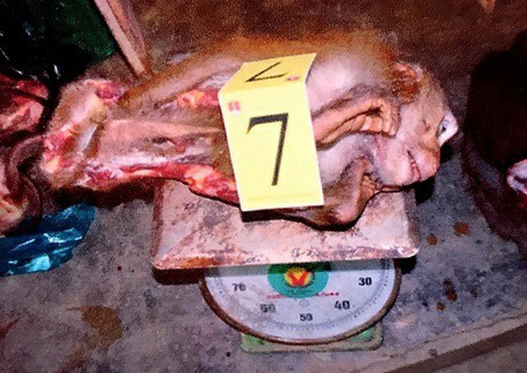 Vietnam woman charged for buying endangered animals for ‘medicinal’ paste