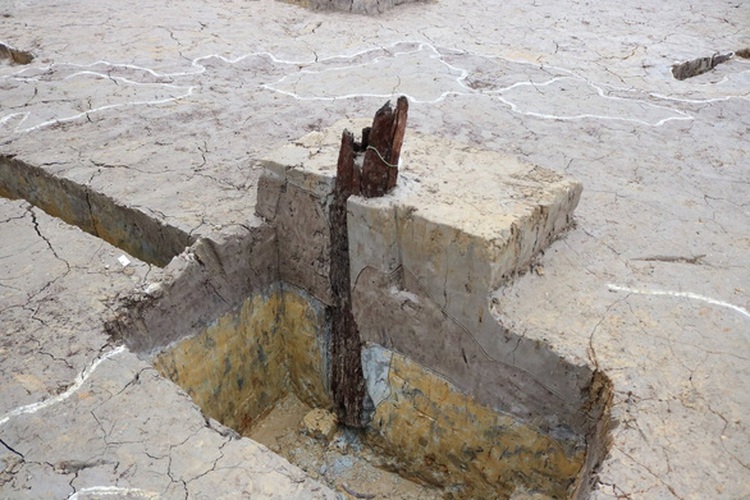 Archeological dig unearths evidence relevant to iconic Vietnamese battle
