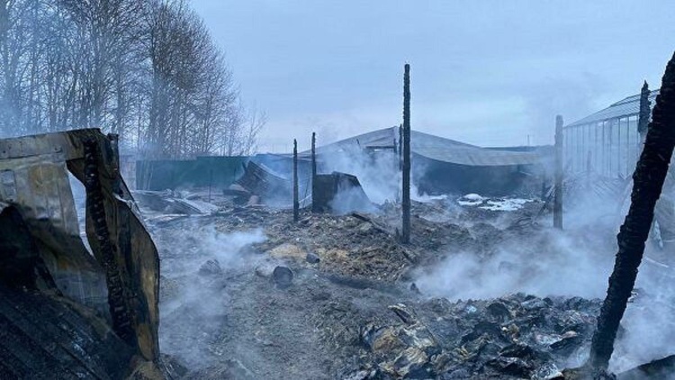 8 killed in Moscow greenhouse fire believed to be Vietnamese: ministry