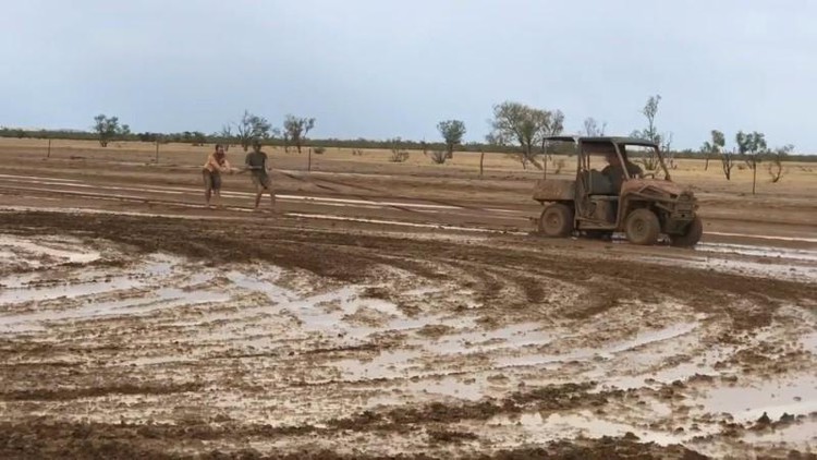 Australia's bushfire-stricken east welcomes drenching rain