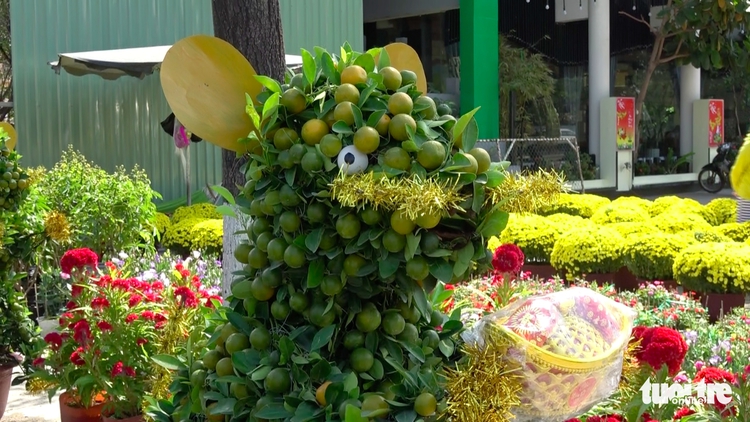 Rat-shaped kumquat bonsai trees a Tet decor trend in southern Vietnam