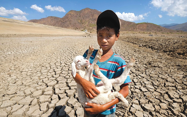 Dried-up grasslands put livelihood in south-central Vietnam in jeopardy