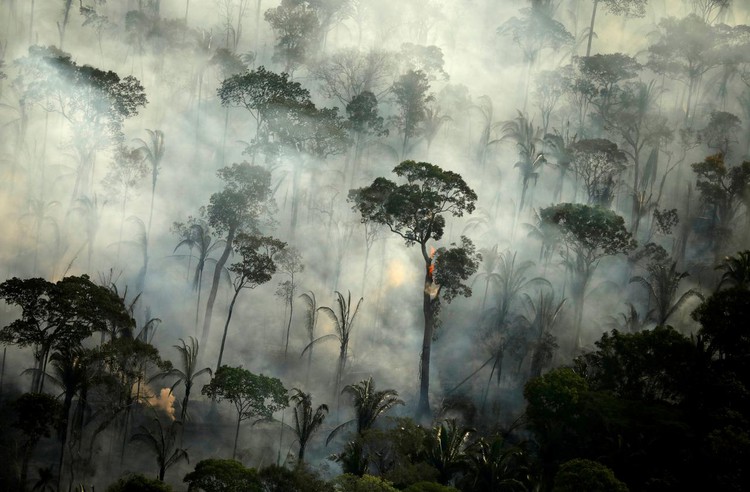 Brazil launches military operations to protect Amazon rainforest