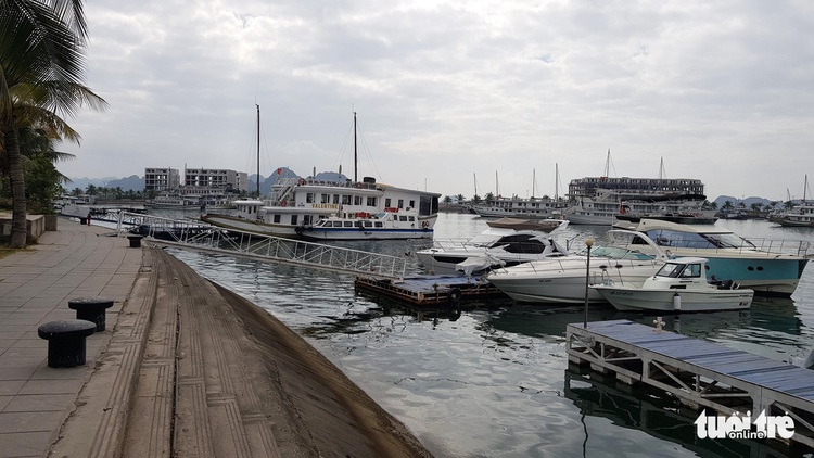 Cruise lines slash transport fees to lure tourists to Vietnam’s Ha Long Bay