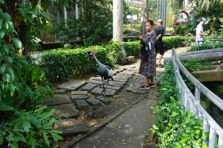 Vietnam’s oldest zoo seeks support to overcome difficulties caused by COVID-19