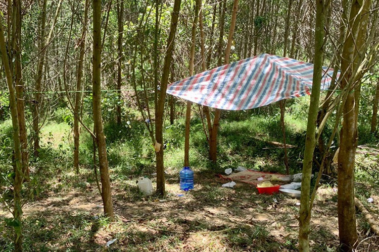 Vietnamese teen allegedly imitates video game, leading to death of 5-yo boy
