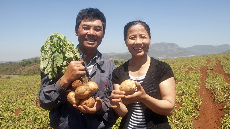 Vietnamese man gets to the root of Central Highlands’ potato problems