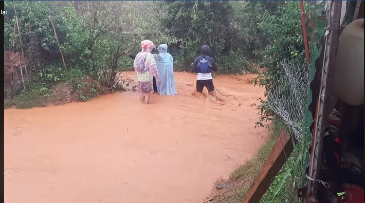 After athlete's death, Da Lat marathon organizers claim to be ill-prepared for bad weather