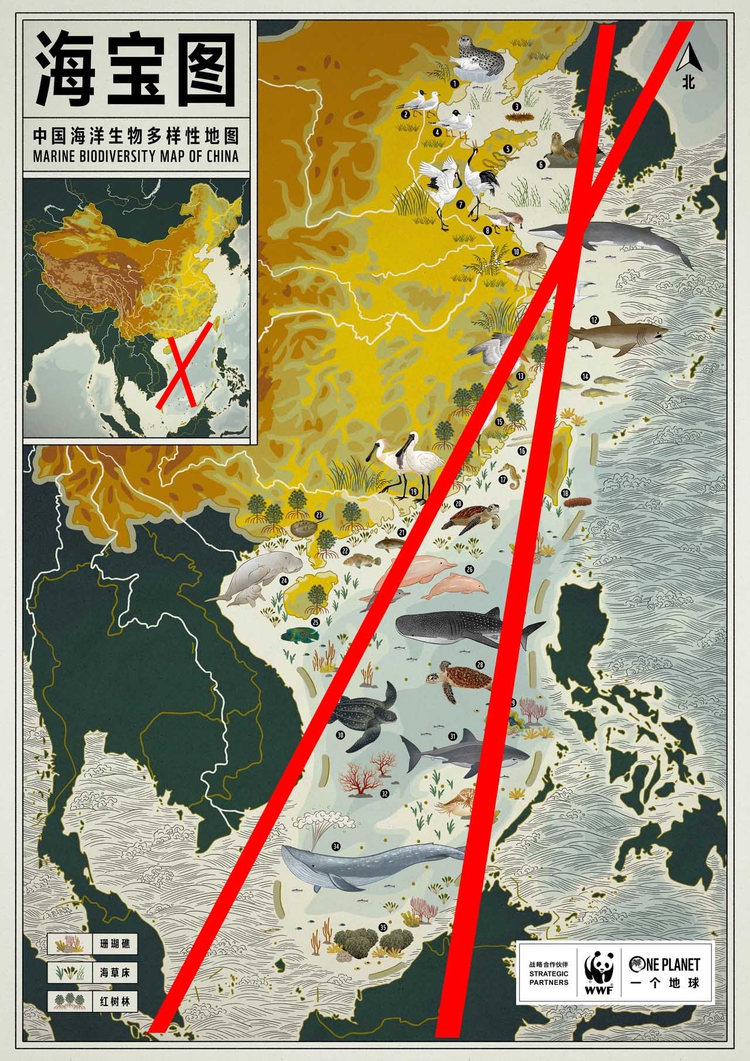 Vietnamese artists rally against controversial marine biodiversity map of China