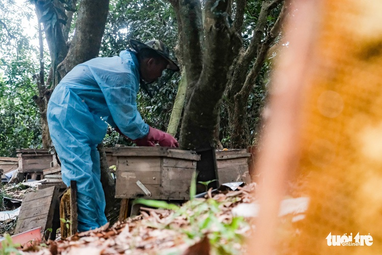 Buzzes from a honey collecting day in northern Vietnam