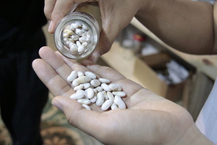 Saigonese sowing seeds of sustainable agriculture in concrete jungle