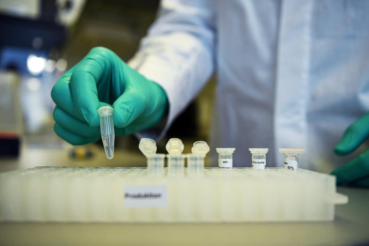 CureVac doesn't rule out accelerated approval for COVID-19 vaccine