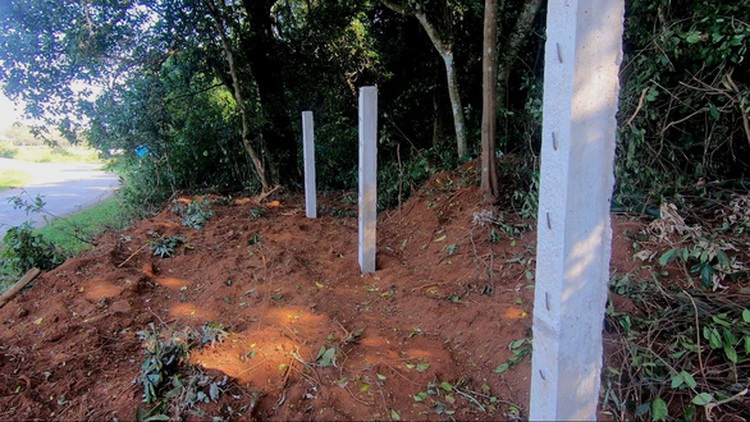 Tourism company fined for deforestation in central Vietnam