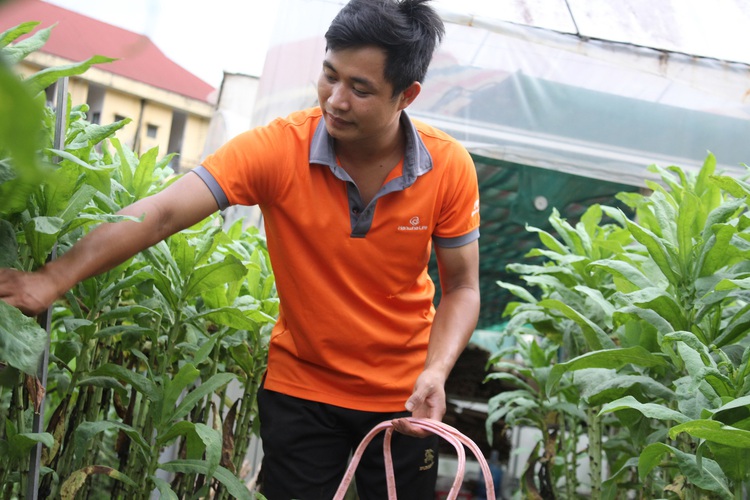 Vietnamese man farms swarms of crickets for crispy delicacies