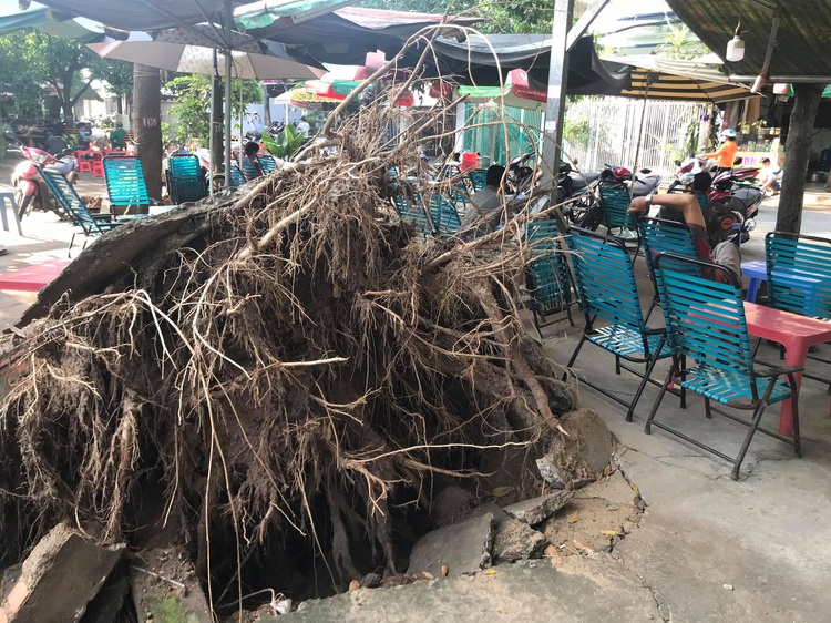 Ho Chi Minh City residents told to brace for full week of rain