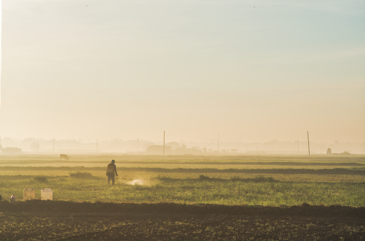 Rural Ho Chi Minh City – a hidden inspiration for photography