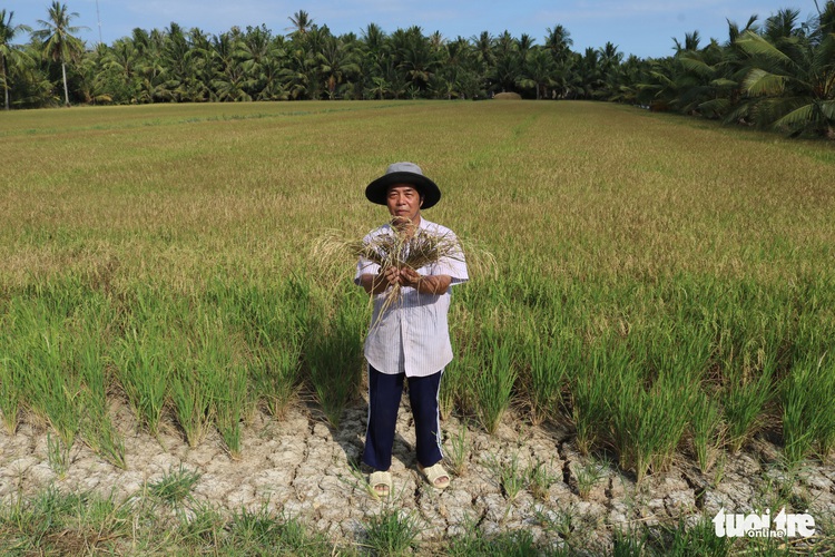 Eight storms could enter East Vietnam Sea by end of 2020