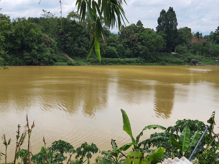 Iconic Huong River turns yellow in central Vietnam