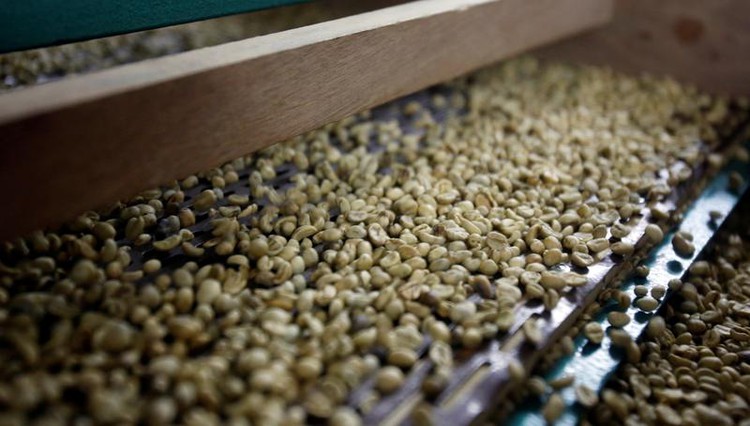 Vietnam’s Jan-Sept coffee exports drop 1.4%, rice down 0.6%