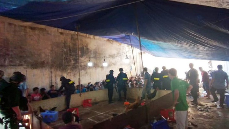 Ten police officers suspended after cockfight gambling ring busted in Saigon