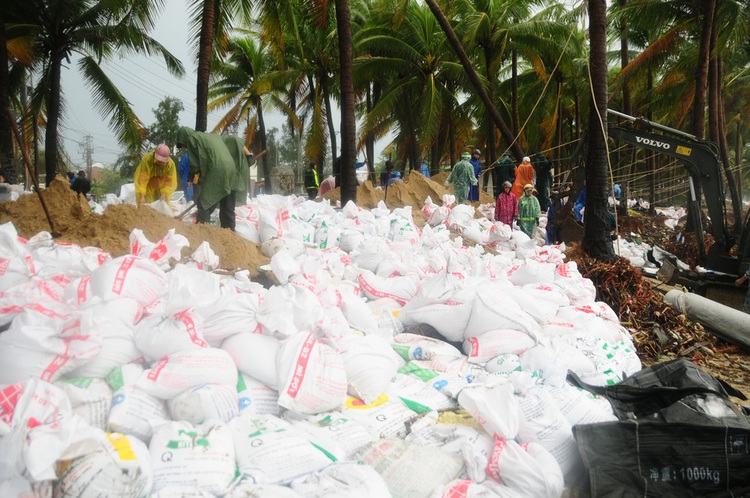 Hoi An people, military reinforce coast to brace for extreme-weather-triggered strong waves