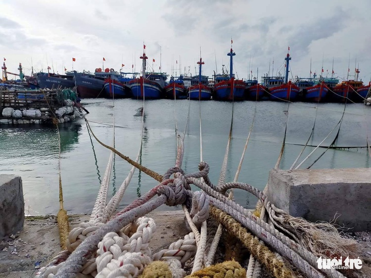 Molave becomes Vietnam’s strongest storm so far this year