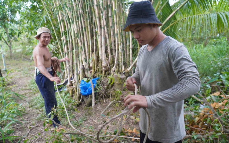 Tree trimmer dubbed ‘Monkey King’ in Vietnam’s Mekong Delta