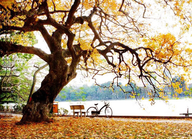 Vietnam secures World’s Leading Heritage Destination title