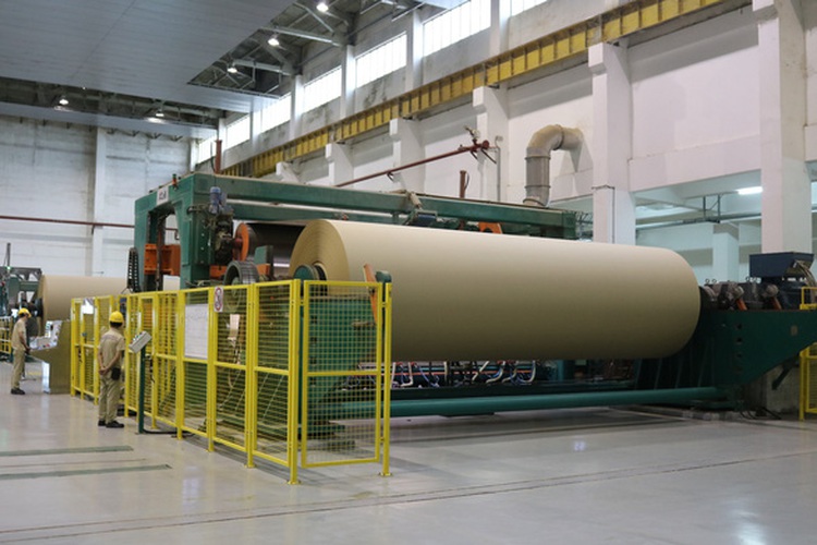 Localities in Vietnam's Mekong Delta disagree over paper mill’s increased capacity