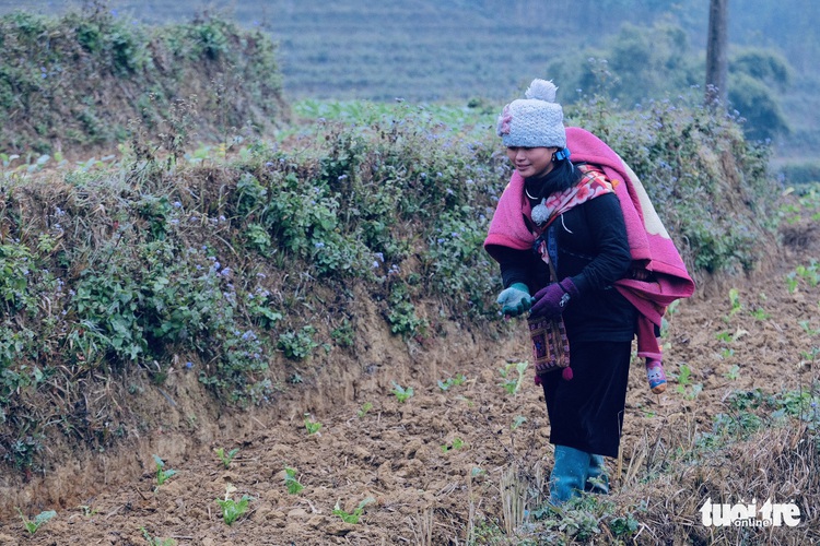 People shiver as temperature falls to 3 degrees Celsius in Vietnam’s Sa Pa