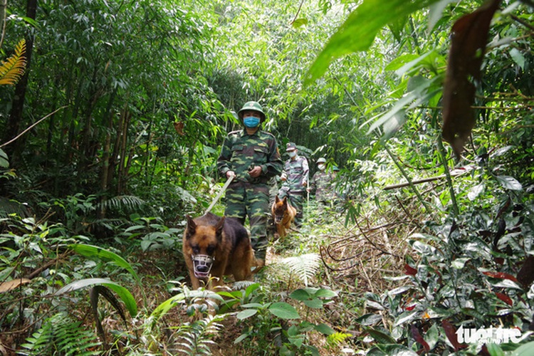 Vietnam reports 343 illegal entrances within three days