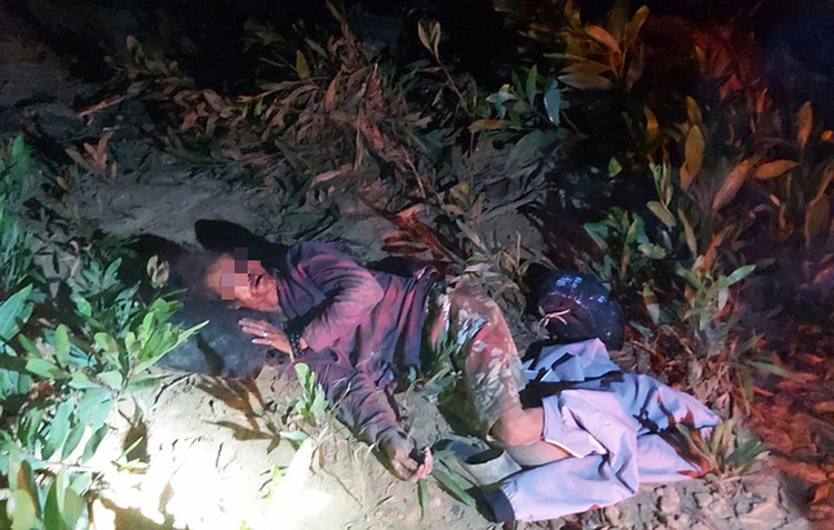 Vietnamese man suffers brain injury following suspected elephant attack